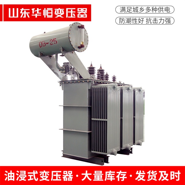 S11-10000/35正镶白正镶白正镶白电力变压器厂家