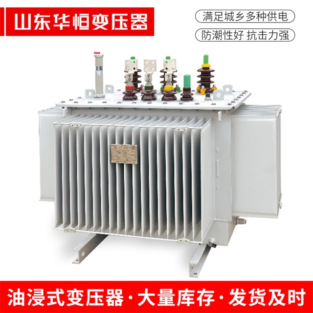 S13-10000/35正镶白正镶白正镶白电力变压器
