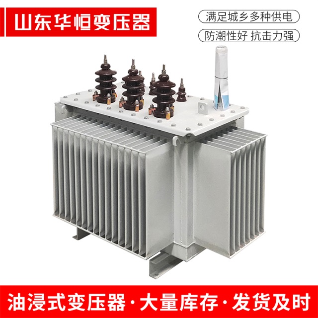 S11-10000/35正镶白正镶白正镶白电力变压器价格